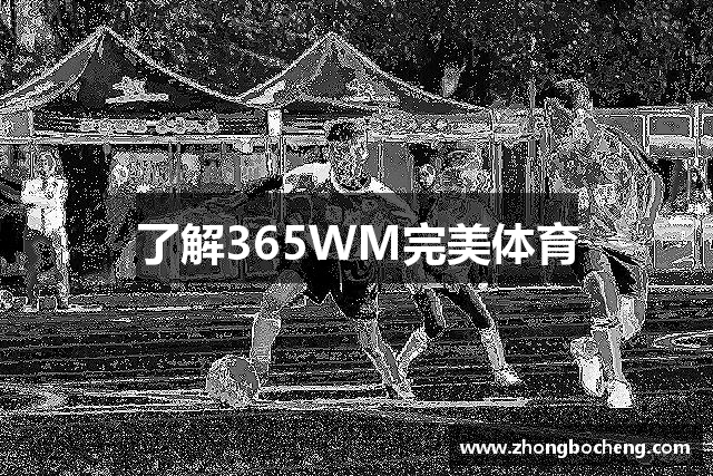 了解NG娱乐